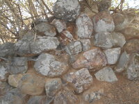 DSCN5933.JPG