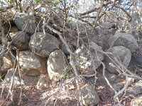 DSCN5935.JPG