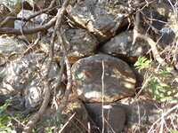 DSCN5936.JPG