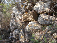 DSCN5937.JPG