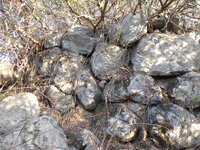 DSCN5939.JPG