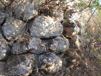 DSCN5940.JPG