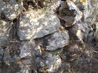 DSCN5943.JPG