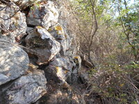 DSCN5944.JPG