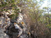 DSCN5946.JPG