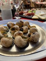 IMG_2937.jpeg