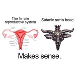 55722e413773b.jpeg