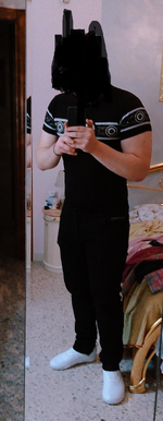 1755949871015.png