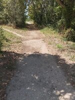 nature.jpg