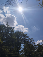 immagine_2025-08-23_140900313.png