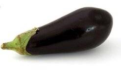 IMG_1125.jpeg