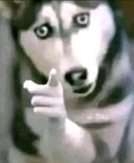 5ab65e2e31994ea5ba799873d68df37a~tplv-jj85edgx6n-image-origin.jpeg