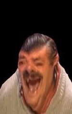 images (13).jpeg