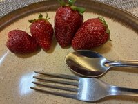 d16b24ea-53d8-466a-a0dd-f0d4f0a95b28.jpeg
