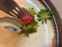 dfc0cf1b-c62f-4734-a3d9-175c321244a5.jpeg