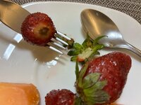 e572e91c-60c2-4b2f-be5f-e9ff39830669.jpeg