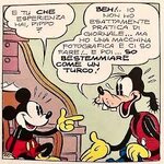 images (20).jpeg