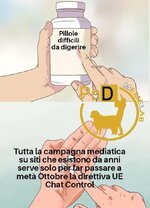 1756826316718.jpeg