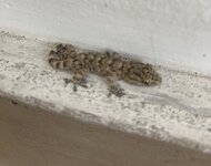 IMG_1205.jpeg