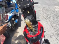 IMG_2304.jpeg