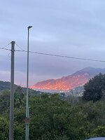 IMG_2715.jpeg