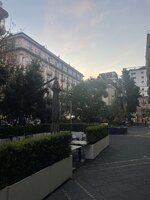 IMG_2916.jpeg