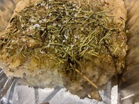 IMG_1681.jpeg