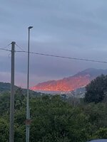 IMG_3245.jpeg