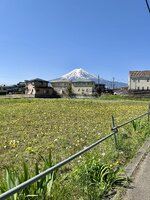 IMG_3805.jpeg