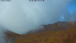 IMG_3824.jpeg