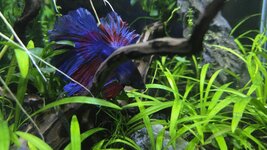 20251026_193836.jpg 20251026_193836.jpg