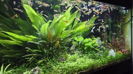 20250814_143813.jpg 20250814_143813.jpg