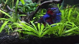 20250909_204449.jpg 20250909_204449.jpg