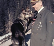 Screenshot (1255).png