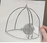 IMG_20251105_095809.jpg IMG_20251105_095809.jpg