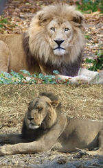 Screenshot 2025-11-10 121529.png Screenshot 2025-11-10 121529.png