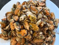 IMG_3920.jpeg IMG_3920.jpeg