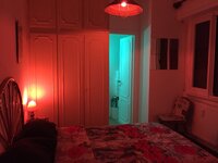 IMG_6842.jpeg IMG_6842.jpeg