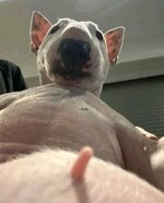 Screenshot_2025-11-07-19-13-00-970-edit_com.zhiliaoapp.musically.jpg Screenshot_2025-11-07-19-13-00-970-edit_com.zhiliaoapp.musically.jpg