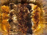 c2c8ba26-b4fb-4d0f-a102-b62ab43600f1.jpeg c2c8ba26-b4fb-4d0f-a102-b62ab43600f1.jpeg