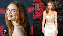 1000018275.png 1000018275.png