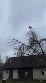 images (6) (16).jpeg