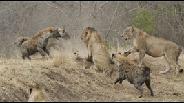 1767485188842.png 1767485188842.png