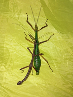 1770075639166.png 1770075639166.png