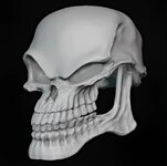 1000009074.jpg 1000009074.jpg