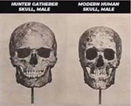 1771704102261.png 1771704102261.png