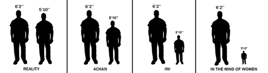 5905904.png