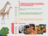 e4c2d342-baaa-4fe2-9bf2-0e826c772354.jpg