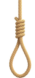 IMG_3513.jpeg IMG_3513.jpeg