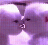 1775340732841.gif